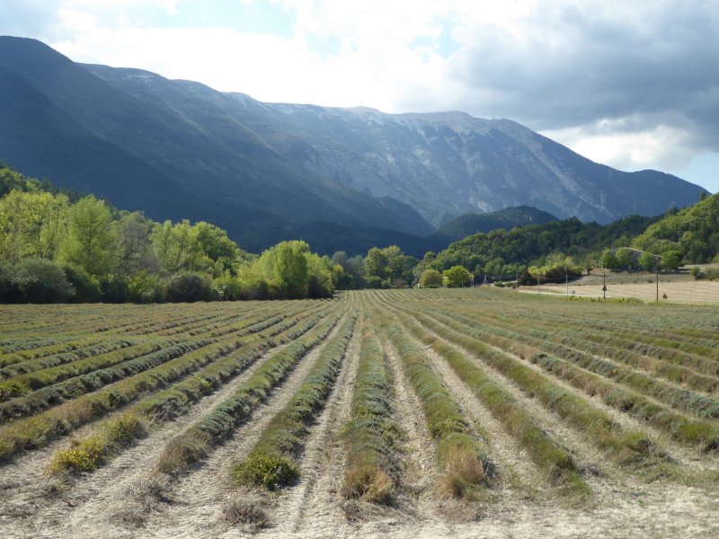 week-end Ventoux - 24/25 septembre 2016